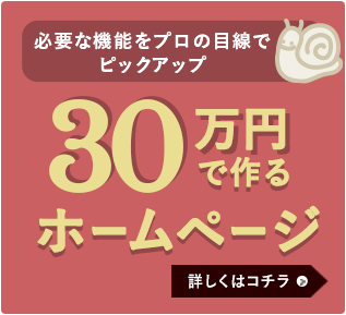 必要な機能をプロの目線でピックアップ! 30万円で作るホームページ 分割払いOK