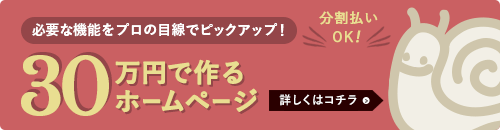 必要な機能をプロの目線でピックアップ! 30万円で作るホームページ 分割払いOK